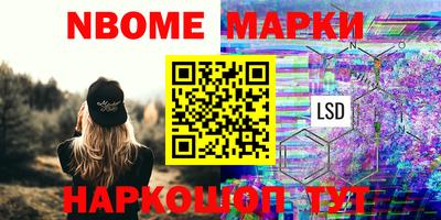 гашик Будённовск