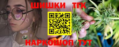 гашик Будённовск