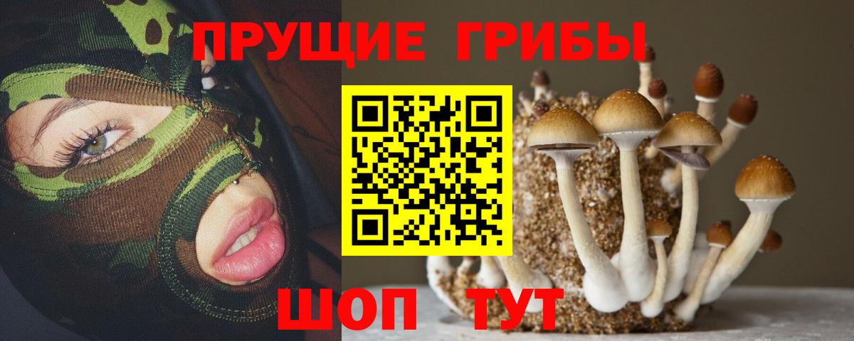 Псилоцибиновые грибы мухоморы Красноярск