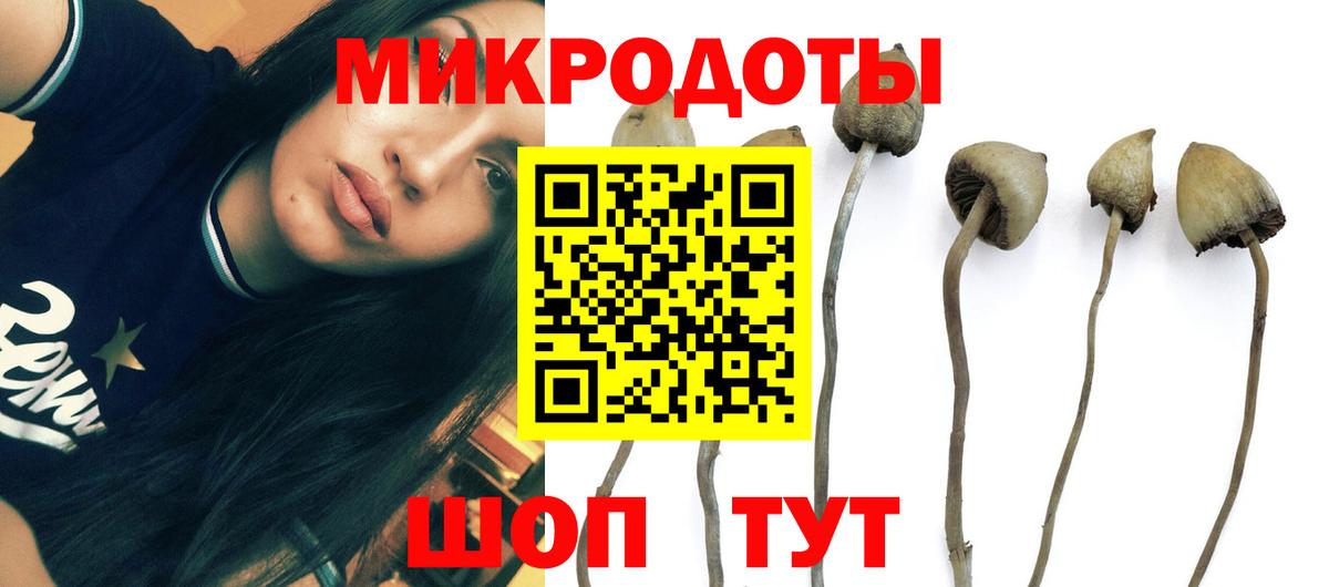 Красноярск  Псилоцибиновые грибы GOLDEN TEACHER  Вход с VPN  Галлюциногенные грибы Cubensis 